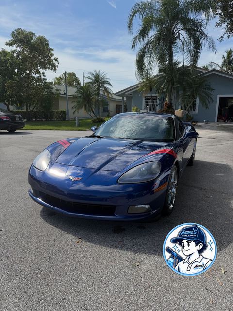 Blue Corvette detailed on a palm-lined Broward street